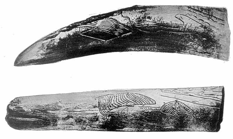 Уламки бивня мамонта з геометричним орнаментом з Мізинської стоянки на… Уламки бивня мамонта з геометричним…