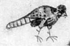 Лівий верхній птах