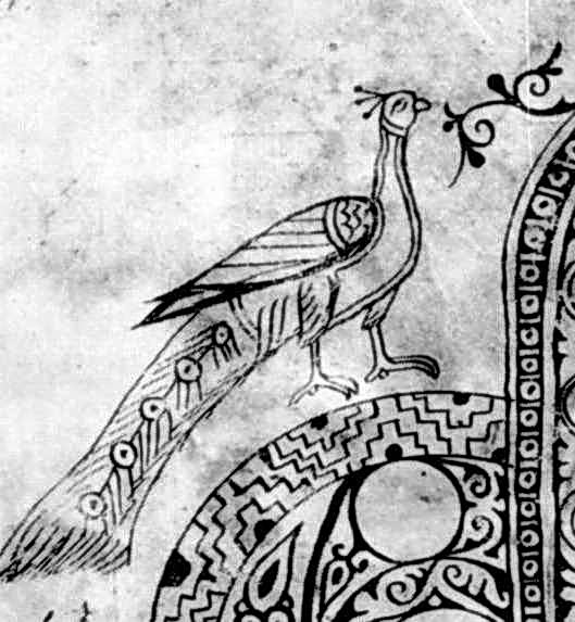 Лівий павич