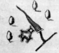 Сер. 17 ст. План міста