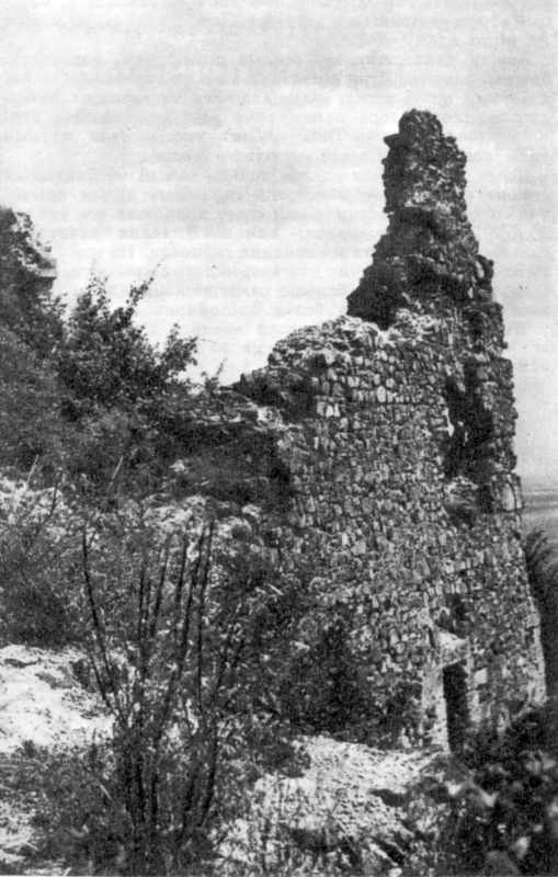 Остатки килевидной башни Хустского замка