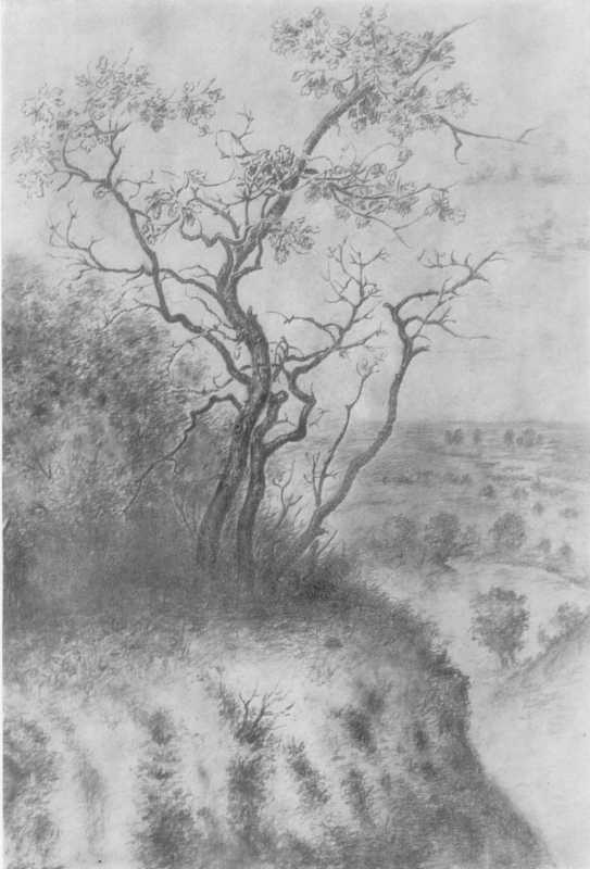 Білокур К.В. На кручі