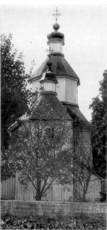 Зовнішній вигляд [с. 196]