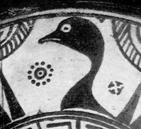 Голова птаха