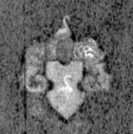 Герб В.Дуніна-Борковського