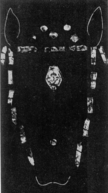 Гарнітура вуздечки