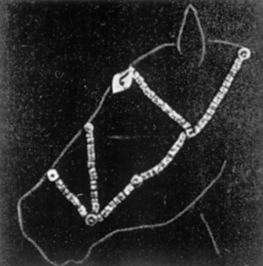 Курган біля с.Мирне