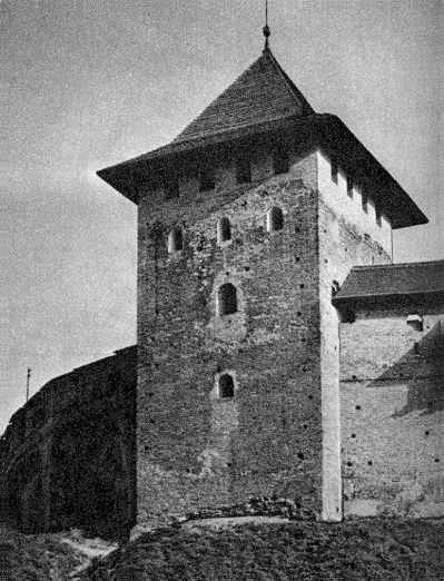 Вигляд з боку поля