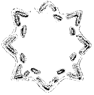 Захар’ївська фортеця