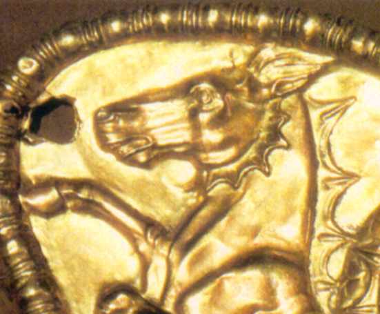 Голова гіпокампа