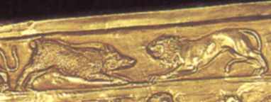 Лев (6) нападає на кабана (5)