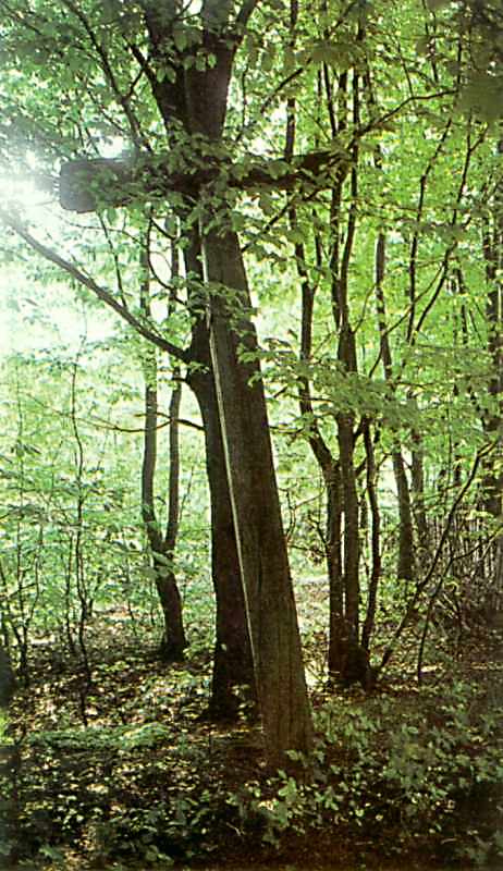 [1987 р.] Хрест на місці церкви