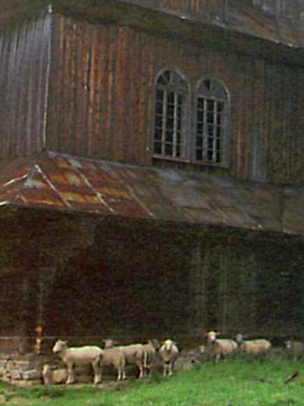 Товар укривається від дощу під…