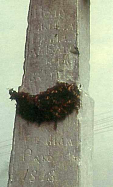 Нижня частина