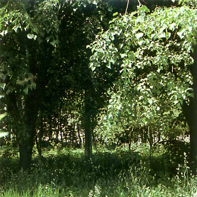 Гориці Воздвижения Чесного Хреста 1773 У Горицях була мала парохія, що… Церква Воздвиження