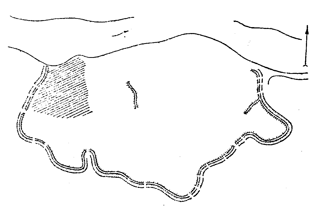 План Трахтемирівського городища Джерело: Gold der Steppe: Archaeologie der… Городище