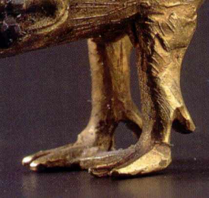 Передні ноги