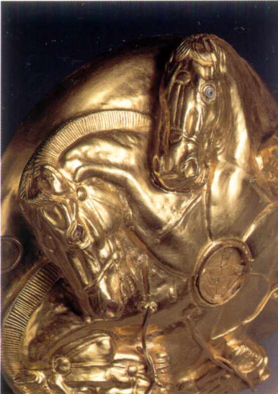 Голови двох коней