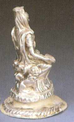 Вигляд ззаду