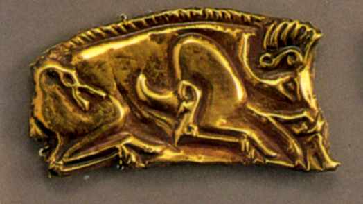 Пластина 7 (кабан)