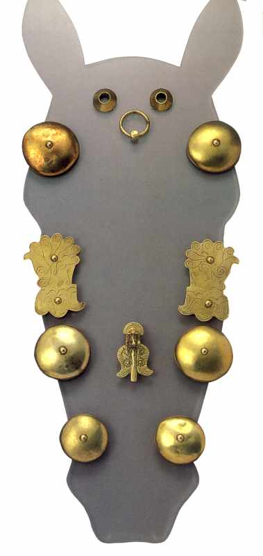 Гарнітура вуздечки