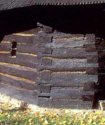 Фрагмент зрубу