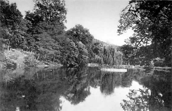 Загальний вигляд парку