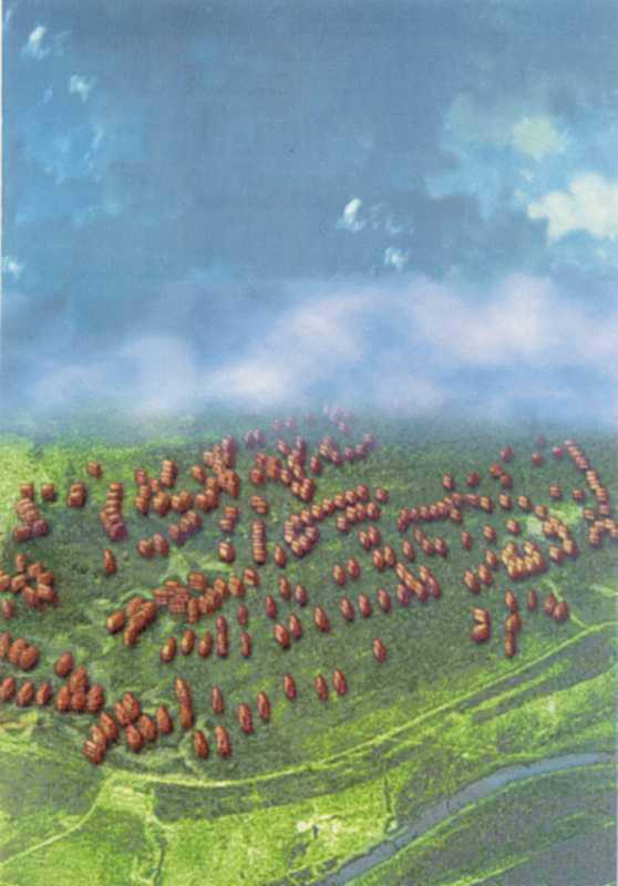 Поселення трипільське