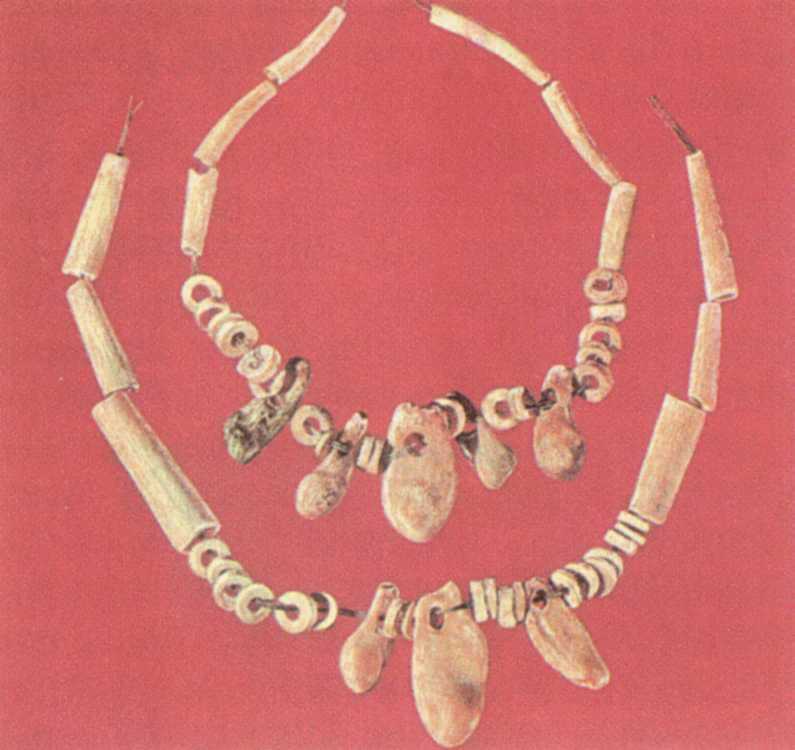 Мовша Т.Г. Новое позднетрипольское поселение Цвикловцы в среднем Поднестровье.… Поселення пізньотрипільське