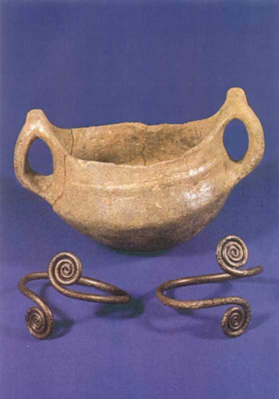 Могильник доби бронзи Войцехівка