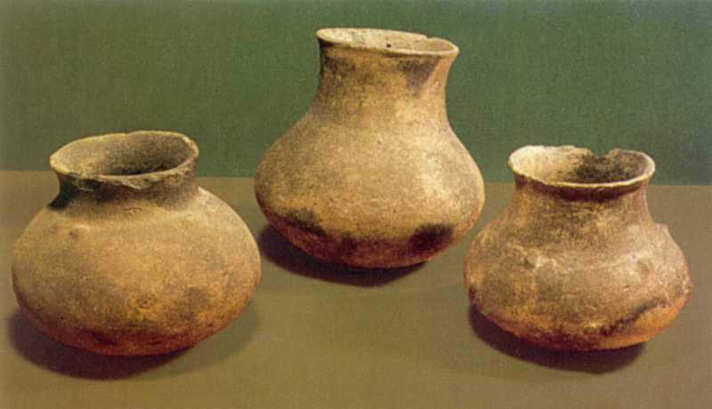 Черненко Е.В., Яковенко Э.В. Раскопки скифского могильника у с.Широкое. –… Кургани