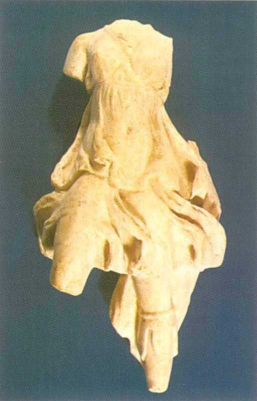 Вигляд анфас