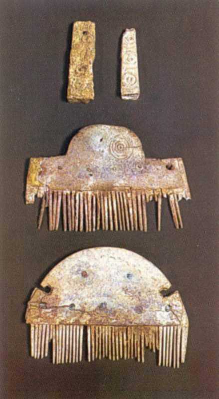 Загальний вигляд