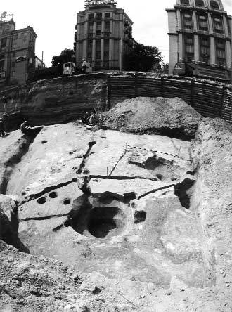 2001 р. Загальний вигляд розкопу садиби