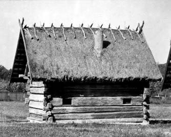 [2003 р.] Загальний вигляд