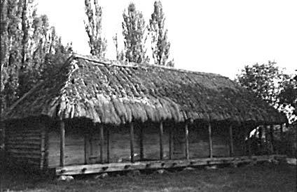 [2003 р.] Загальний вигляд