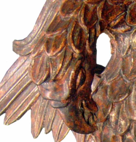 Голова пеліканя