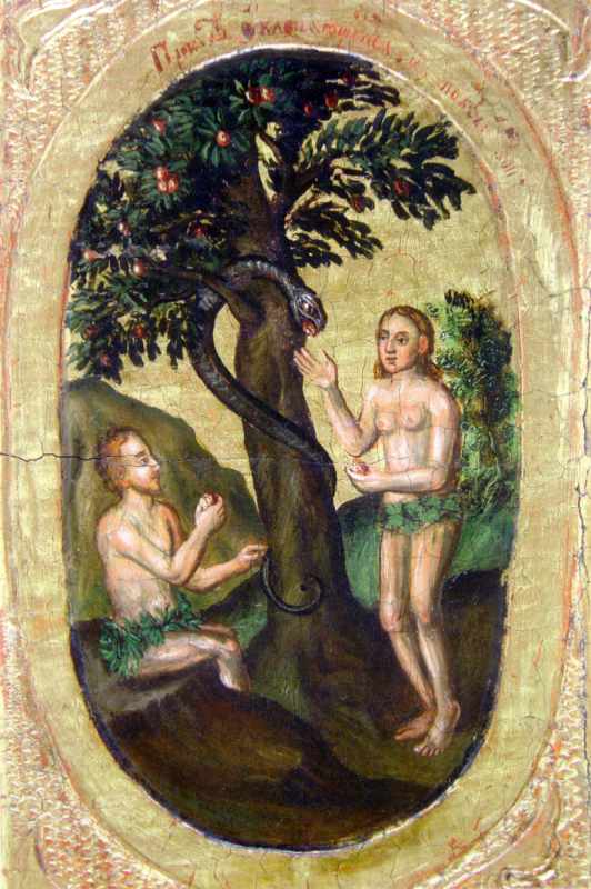 Загальний вигляд