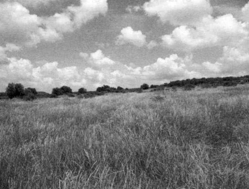 Фото Олександра Харлана, липень 2012 р. [Історико-культурні заповідники:… 2012 р. Бурунчацька стіна. Вигляд із…