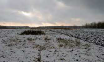 Курган № 1. Вигляд з південного заходу