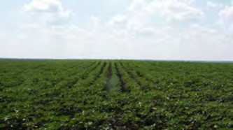 Курган № 1. Вигляд з південно-східного…