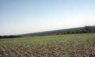 Поселення Голубівка