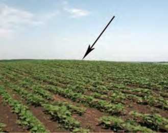 Пам’ятки археології