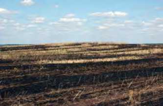 Курган № 5. Вигляд з північного сходу