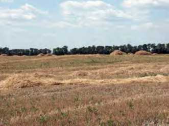 Курган № 3. Вигляд із заходу