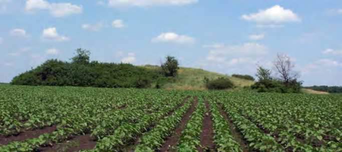 Висока Могила Курган (археол.). За 0,86 км на північний захід від західної… Пам’ятки археології