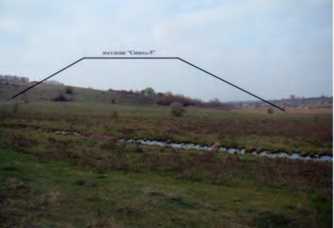 Поселення «Синиха-4»