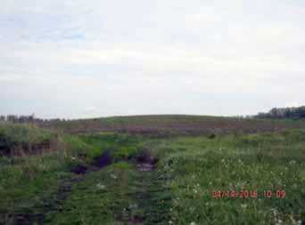 Рис.3. Курган. Вид з південного сходу.…