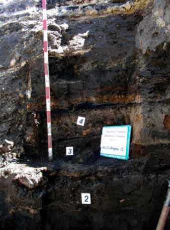 Шар 4 – завал горілих дерев’яних та…