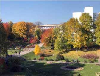 Ботанічний сад